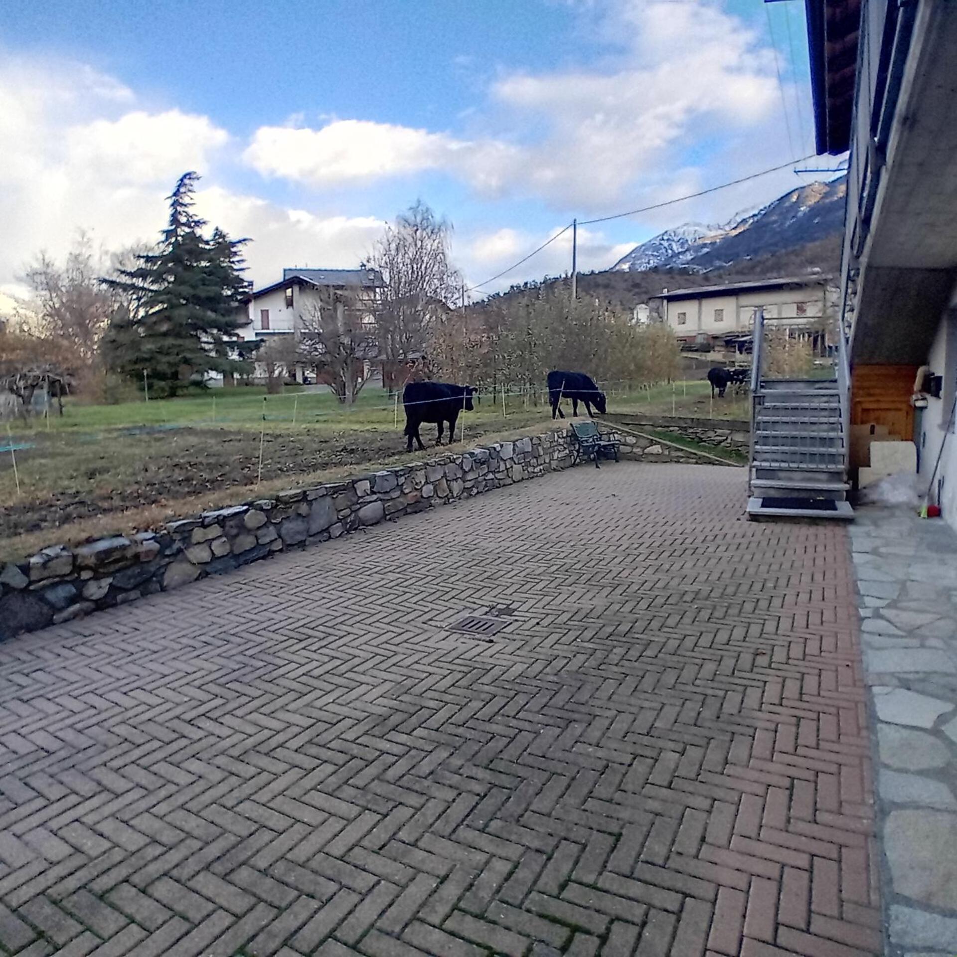 Maison Clair Vda Gressan N 0094 Aosta Szoba fotó